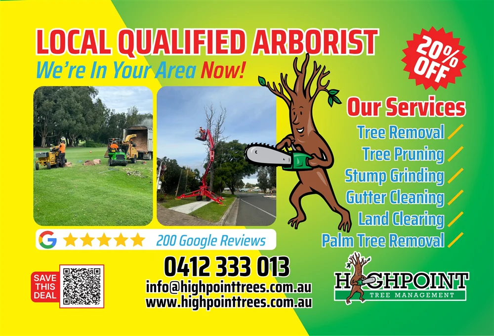 Highpoint Trees