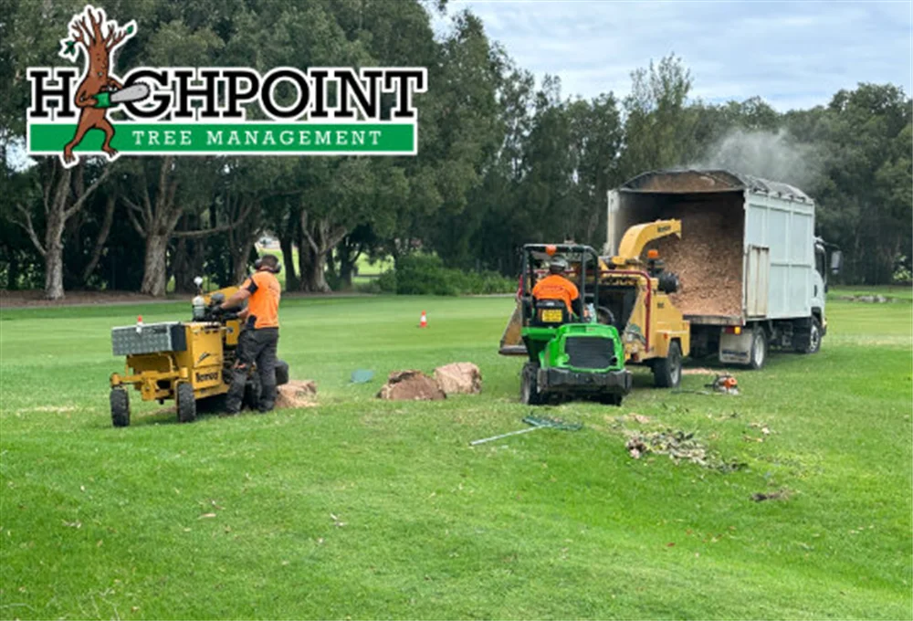 Tree management company offering discounts on professional tree services.